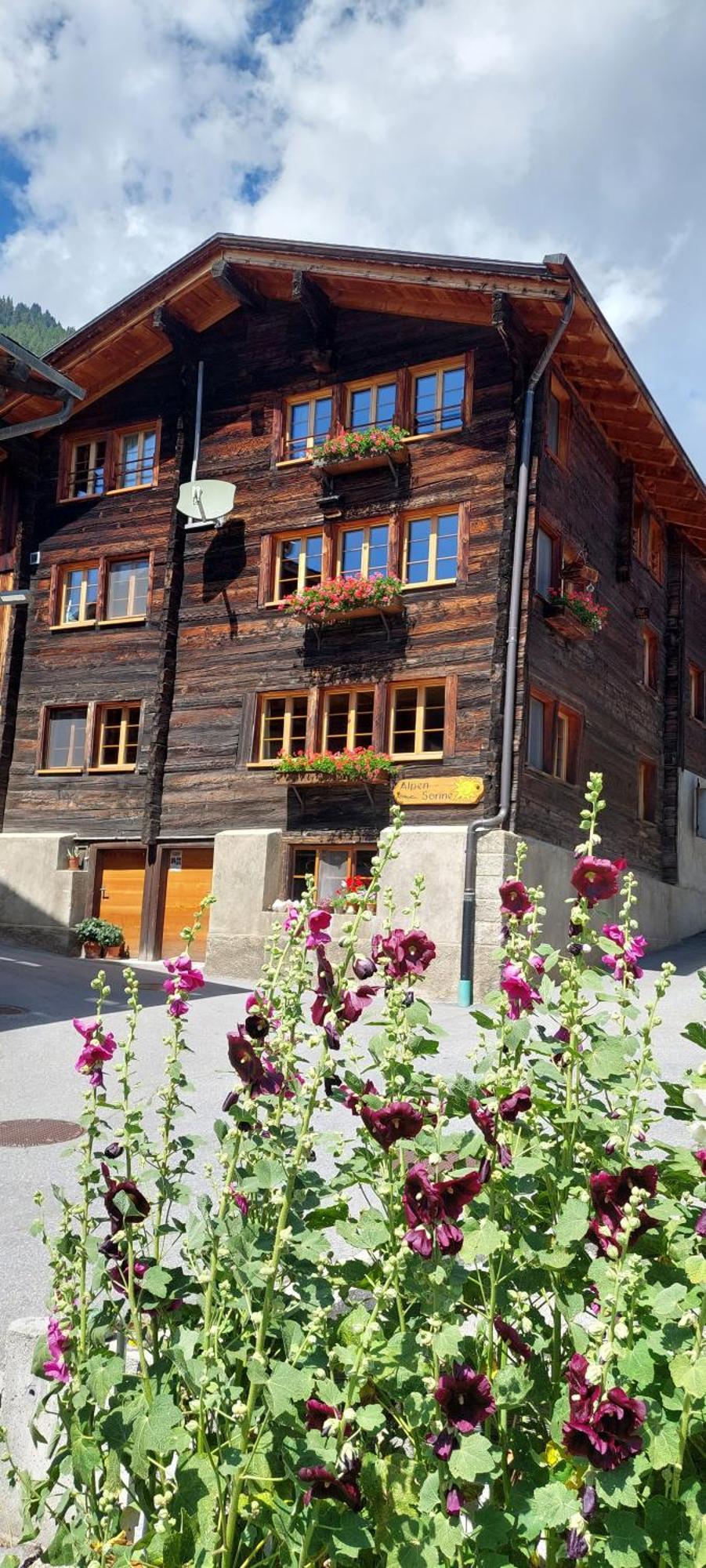 Alpensonne Apartment Reckingen Bagian luar foto