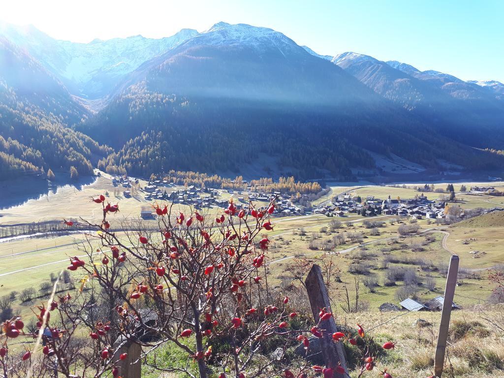 Alpensonne Apartment Reckingen Bagian luar foto