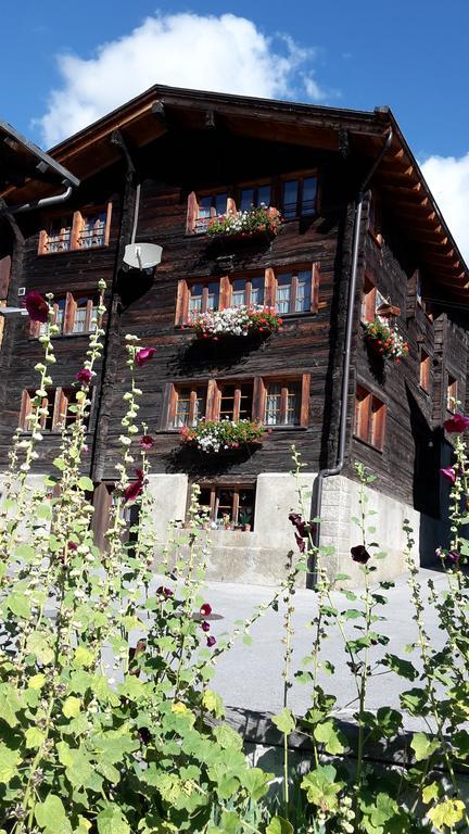 Alpensonne Apartment Reckingen Bagian luar foto