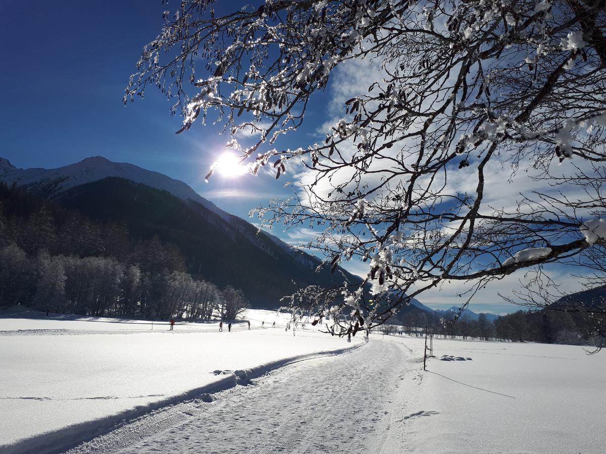 Alpensonne Apartment Reckingen Bagian luar foto