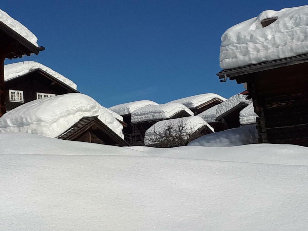Alpensonne Apartment Reckingen Bagian luar foto