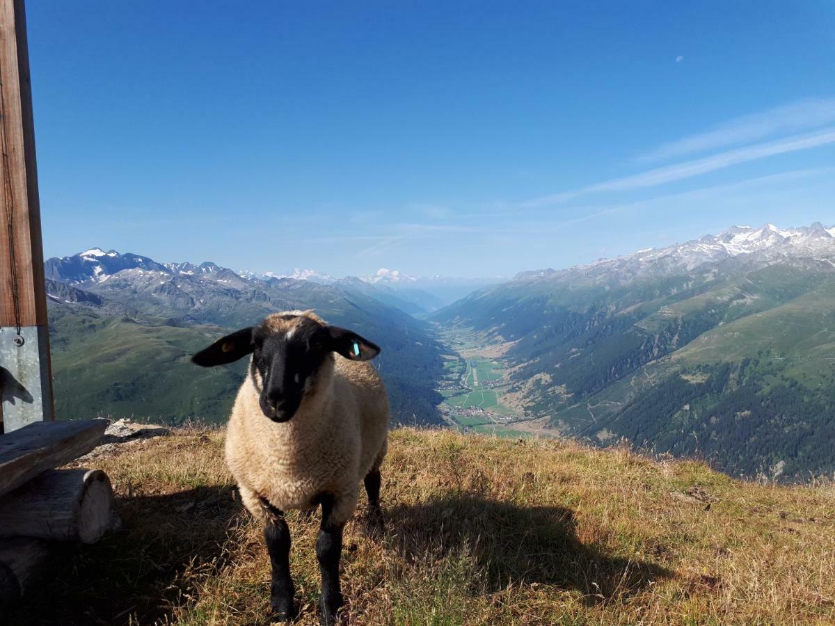 Alpensonne Apartment Reckingen Bagian luar foto